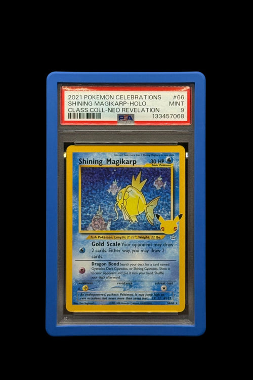 Solid Bumper PSA Style